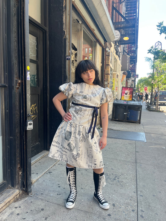 Parisian Drop Waist Dress