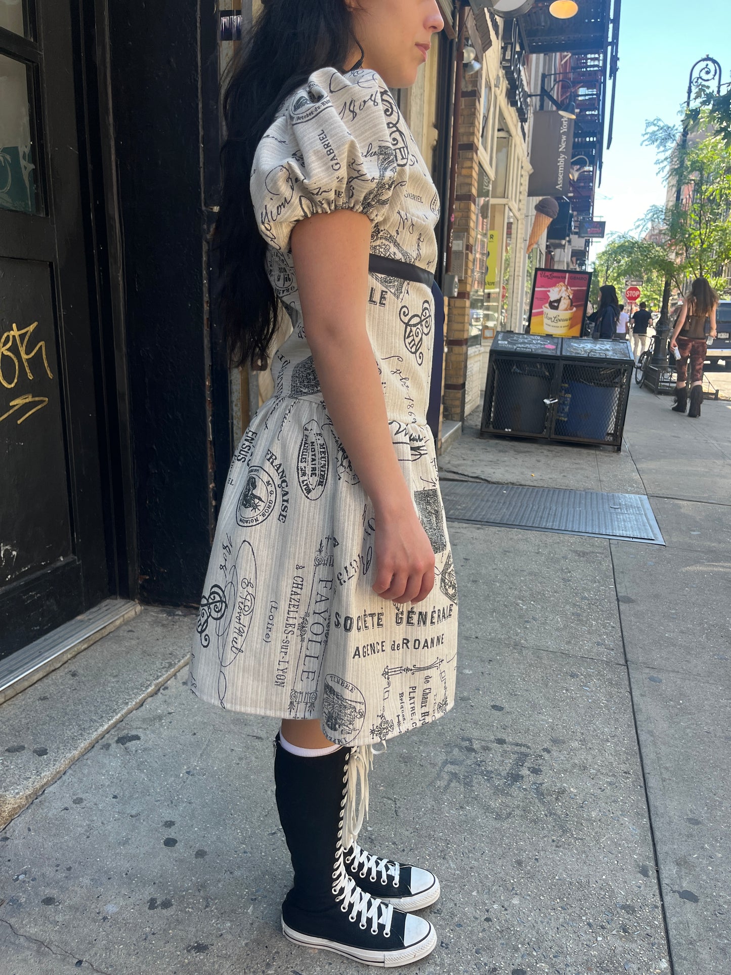 Parisian Drop Waist Dress