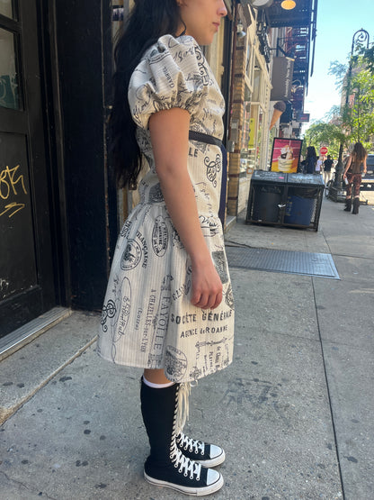 Parisian Drop Waist Dress