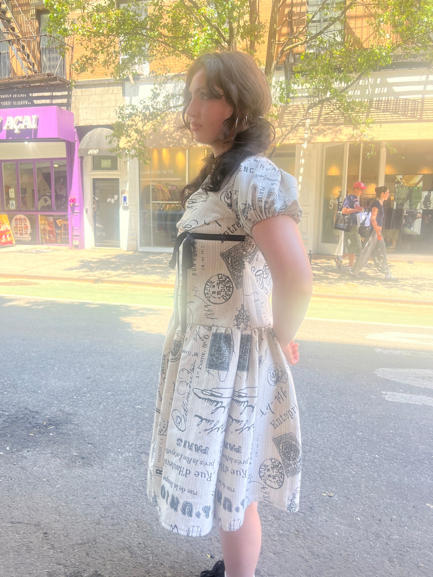 Parisian Drop Waist Dress