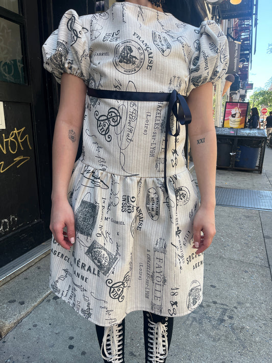 Parisian Drop Waist Dress